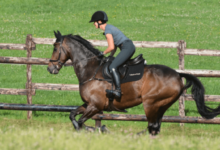 What is the scoring system in cross-country riding?