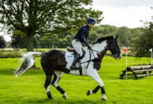 How can I train my horse for cross-country riding?