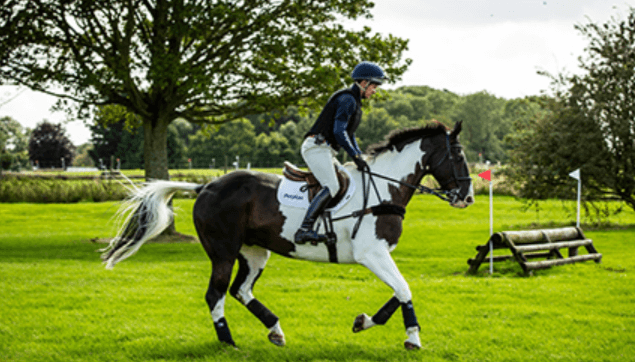 How can I train my horse for cross-country riding?