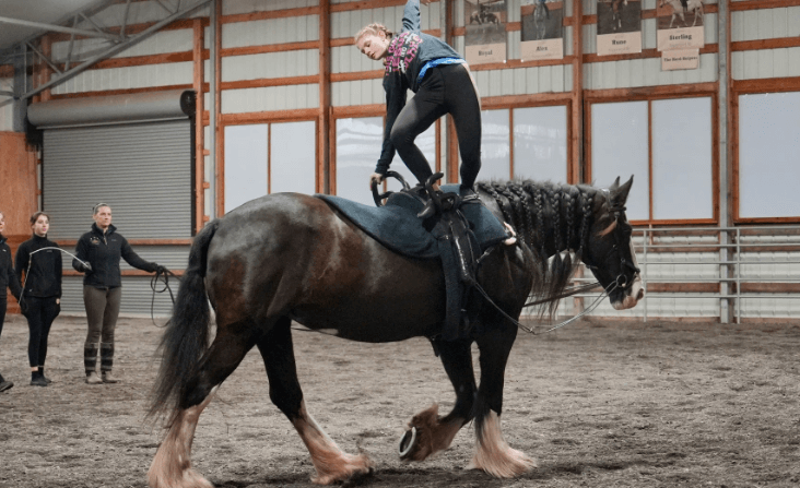 How can I train my horse for cross-country riding?