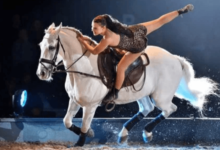 How can one train a horse for equestrian vaulting?