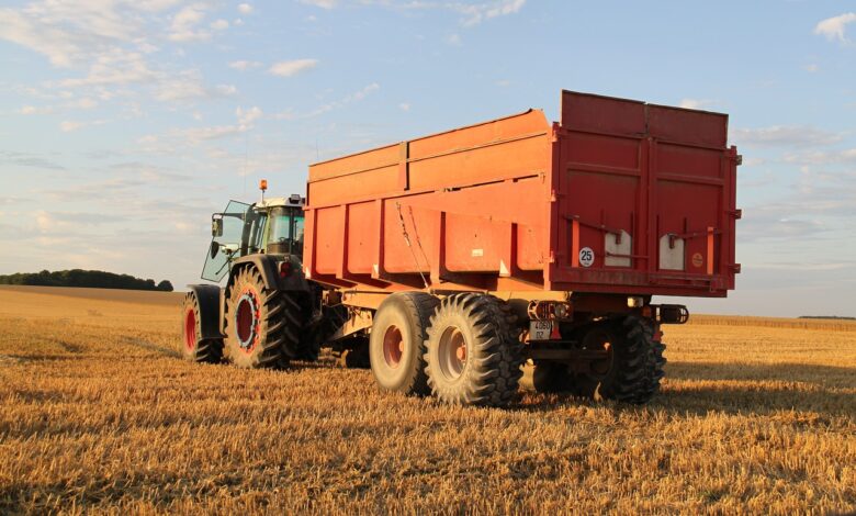 Dumpster rentals are necessary for large projects in cities such as Chicago – for instance, when constructing a house