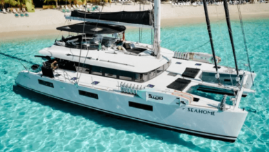 Journey Through Turquoise Waters with a British Virgin Islands Yacht Charter