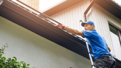 The Ultimate Guide to Roof Cleaning in Dale City VA by SJ Contractor Services