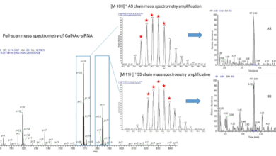 Understanding the Role of LC-MS in Oligonucleotide Pharmacodynamics