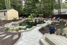 Swimming Pond