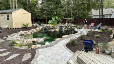 Swimming Pond