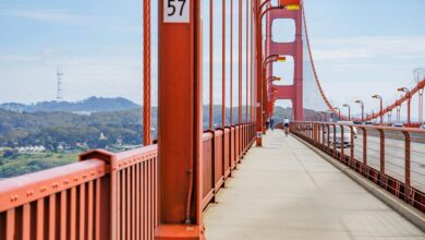 apex opportunity engine 913298393