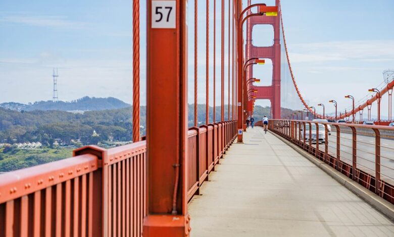 apex opportunity engine launch