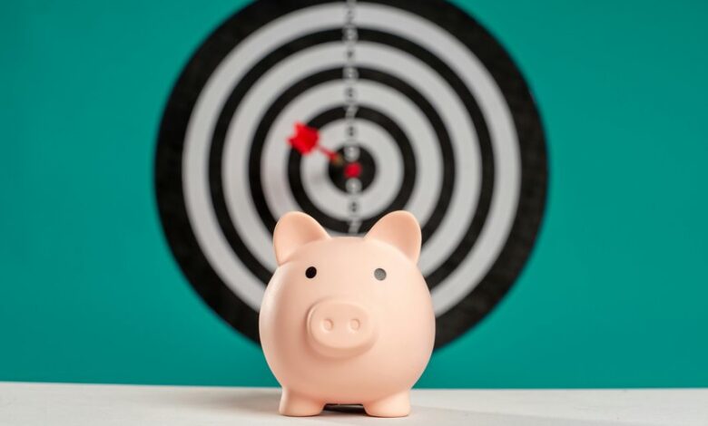 audience engine digital plan summary