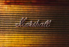 branding maximizer growth system