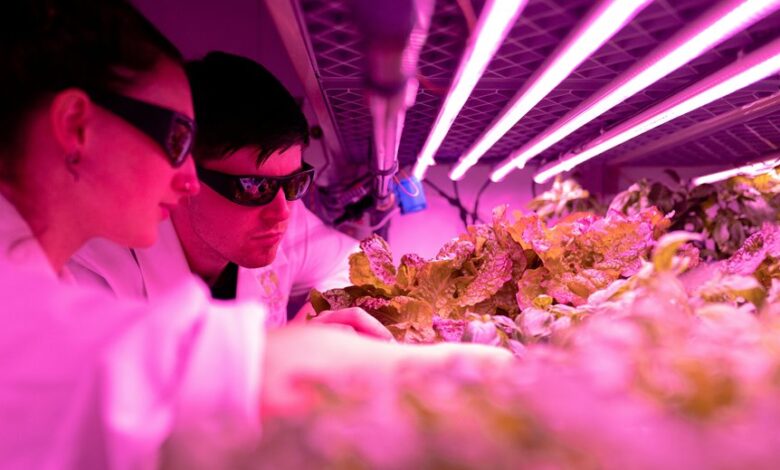 creative growth engine strategy