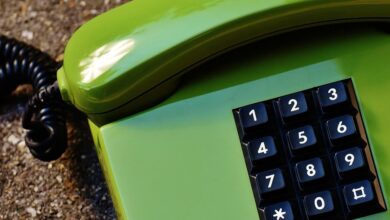 digital insight start phone lookup data