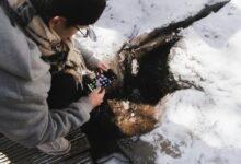 powering reliable phone lookup