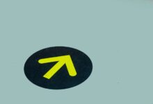 signal guide start trusted contact search