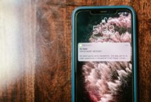 signal vision start verified phonenumbers