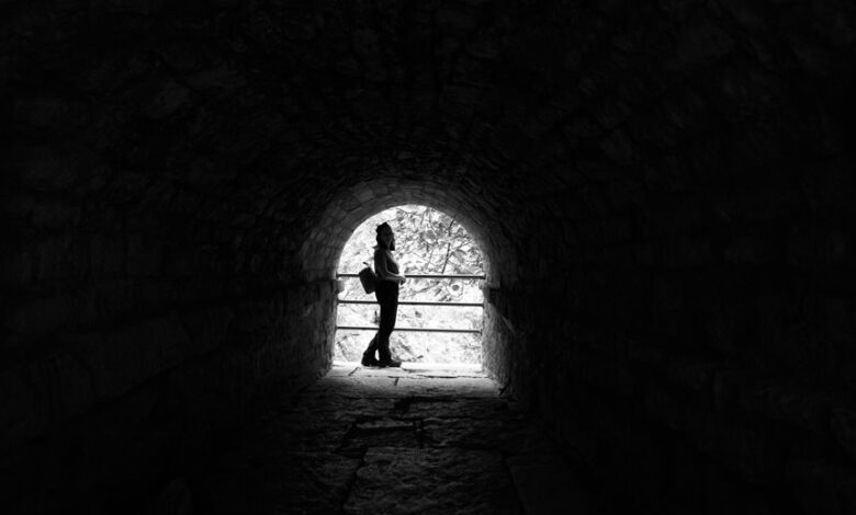 smart portal phone discovery reveal