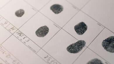 advanced record identifiers and ips