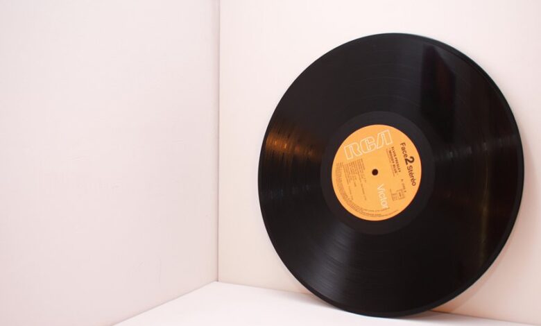 digital record inspection identifiers 3517156548 3791025056 bdr767243202 potoacompanhate