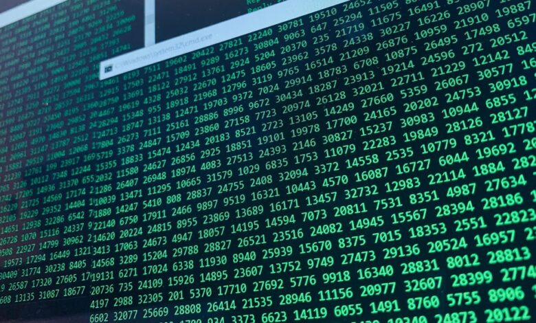 final data audit details numbers and code
