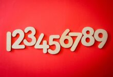 list of phone numbers presented
