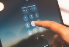 phone numbers identity lookup results